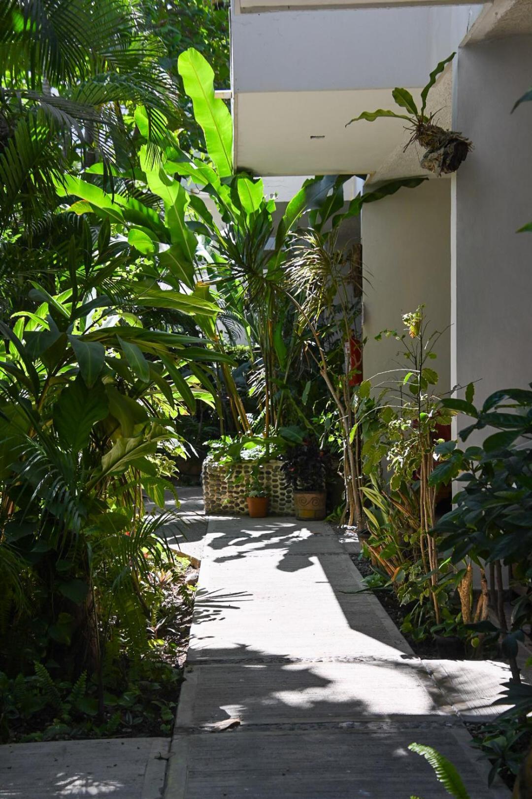 Hotel Palmeras Bucerías Dış mekan fotoğraf