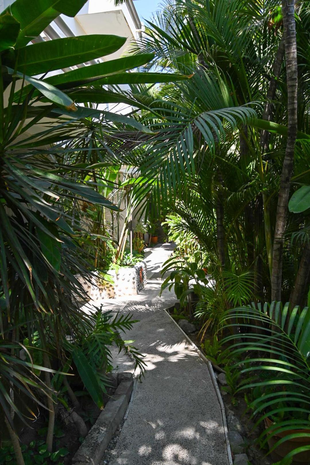 Hotel Palmeras Bucerías Dış mekan fotoğraf