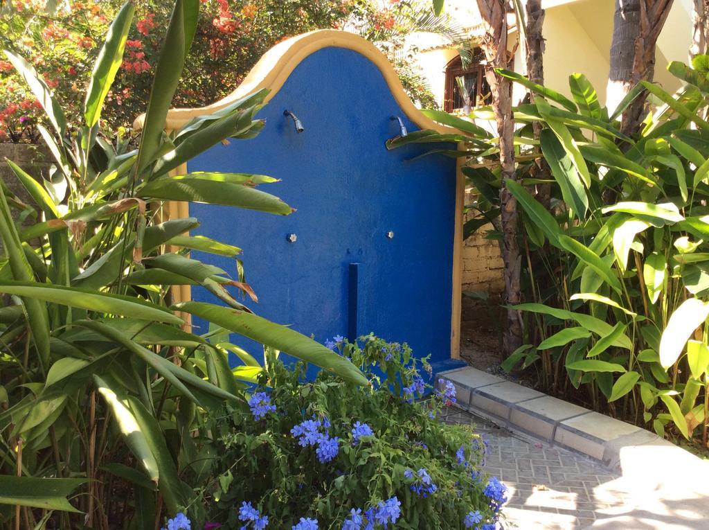 Hotel Palmeras Bucerías Dış mekan fotoğraf