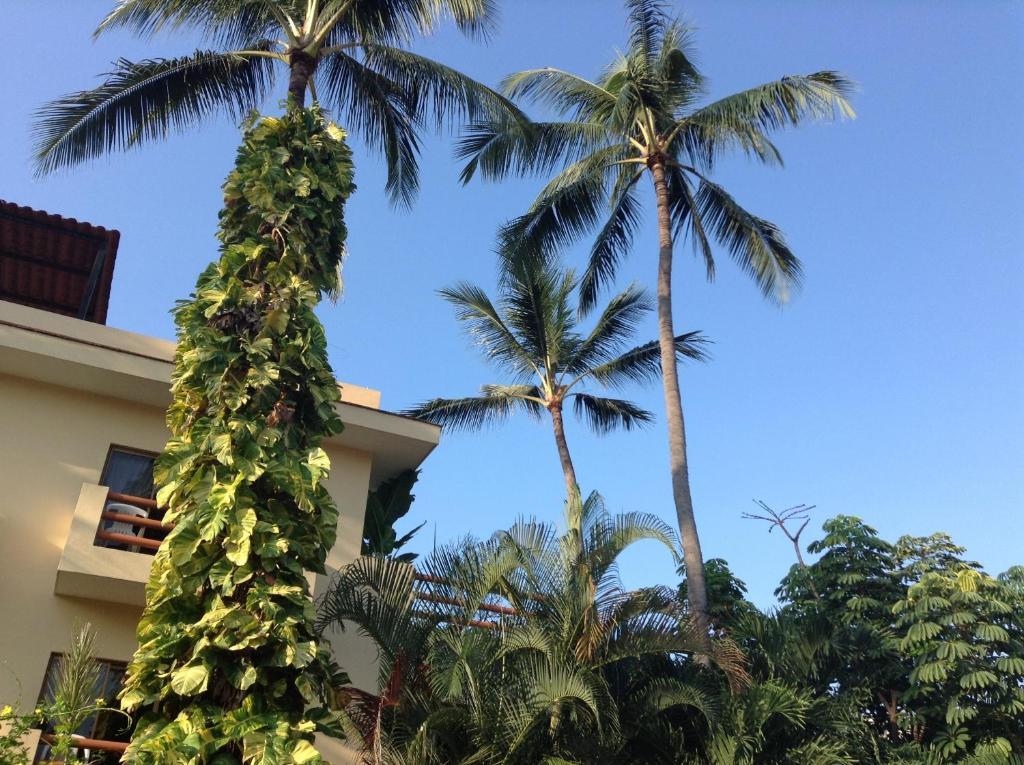 Hotel Palmeras Bucerías Dış mekan fotoğraf